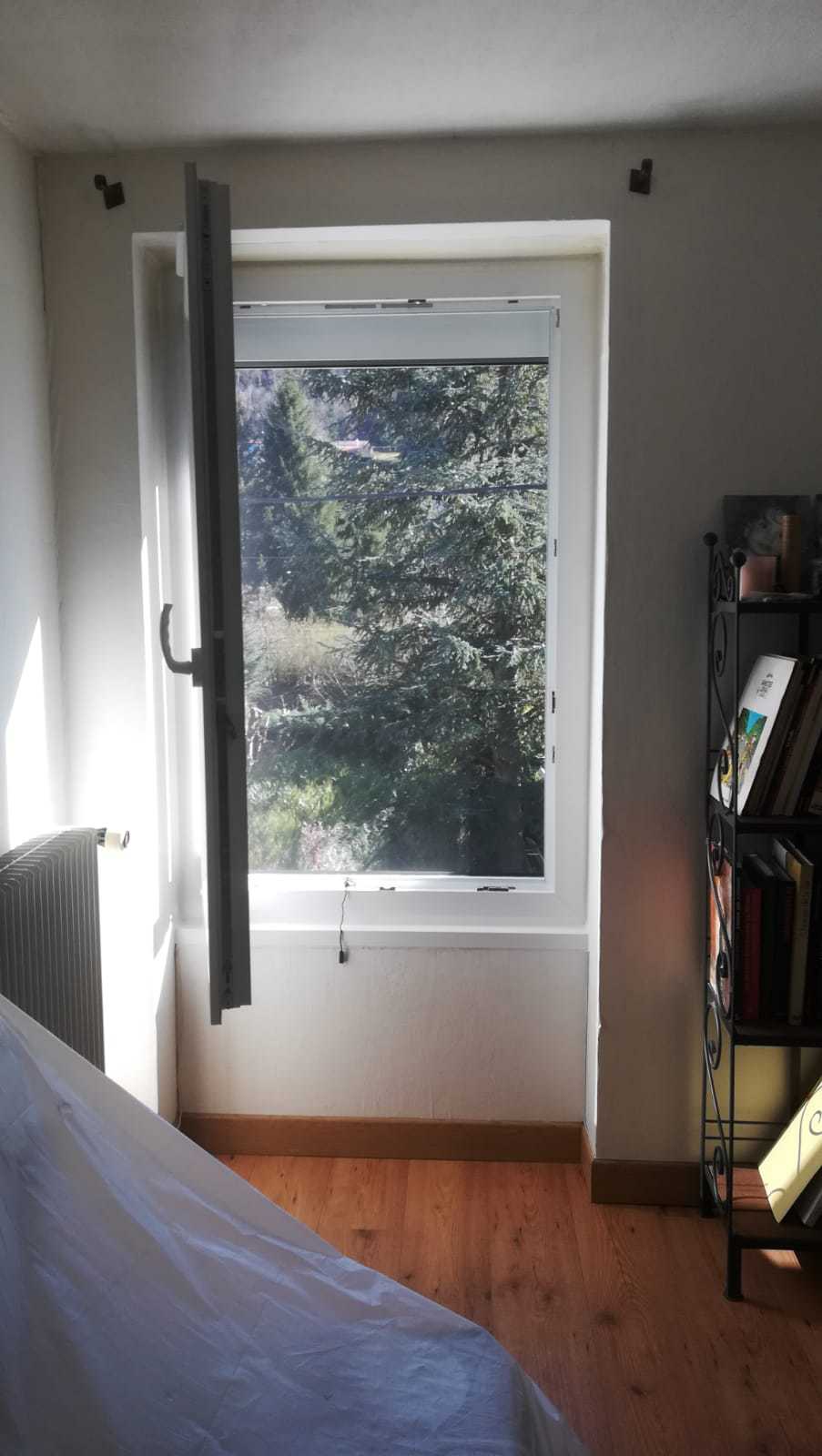 fenêtre dans la Loire (42)